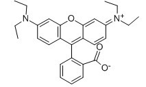 Solvent Red 49